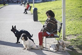 Una mujer junto a sus tres perros en el 'solarón'.