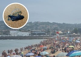 Bandera roja de prohibición del baño por medusas en la playa de San Lorenzo en la zona próxima a la desembocadura del Piles.