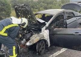 Los bomberos extinguiendo las llamas del vehículo.