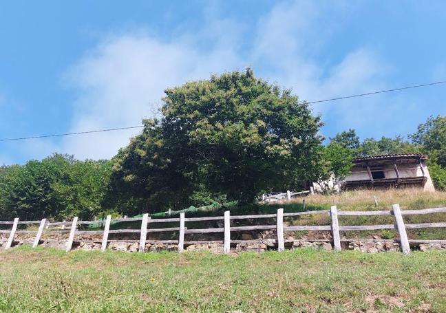 Núcleo rural de Valderosa, en el que la pista se estrecha para convertirse en sendero