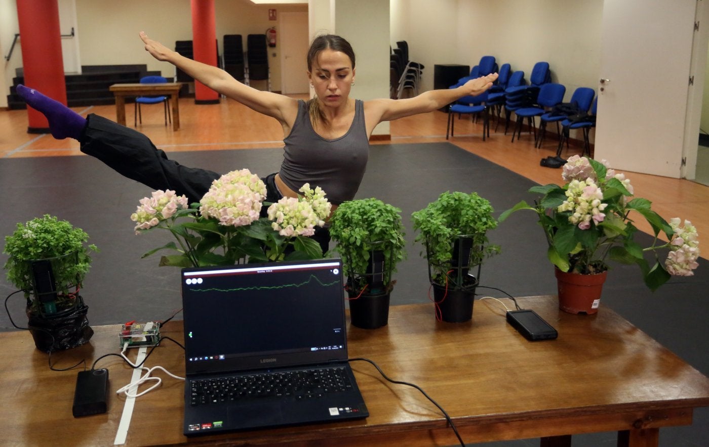 Una de las bailarinas, durante la investigación con plantas.