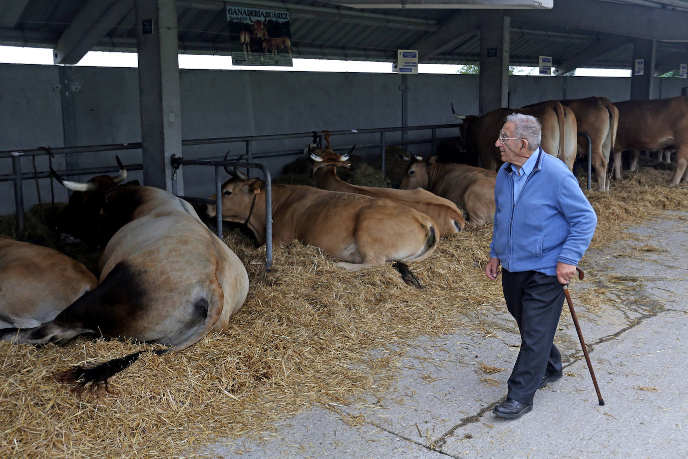 La 49ª Feria Agroalimentaria de Llanera, en imágenes