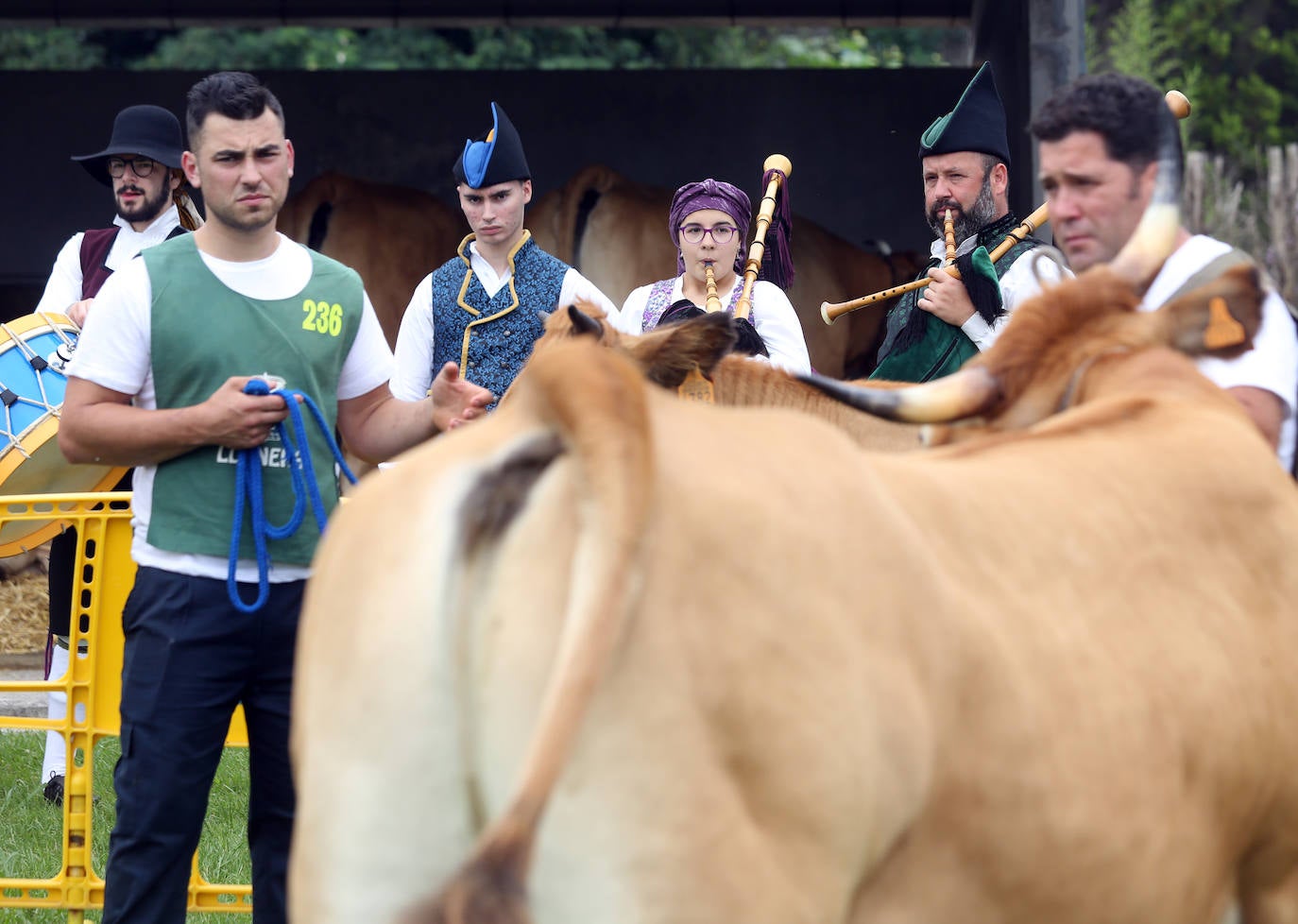 La 49ª Feria Agroalimentaria de Llanera, en imágenes