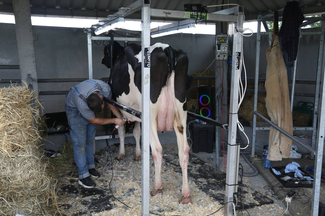 La 49ª Feria Agroalimentaria de Llanera, en imágenes