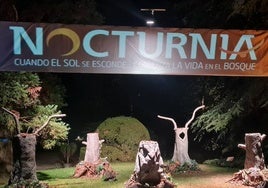 Parte del escenario de Nocturnia.