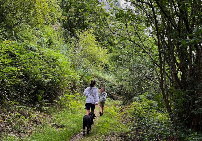 Foces del río Casaño, una ruta recogida en el libro de María Esther, apta para hacer con peques y mascotas