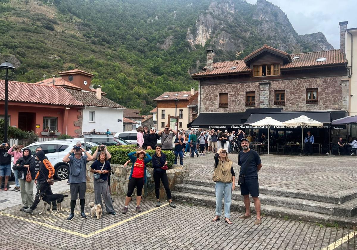 Un nutrido grupo de personas se ha reunido en la plaza de Somiedo para ver osos.