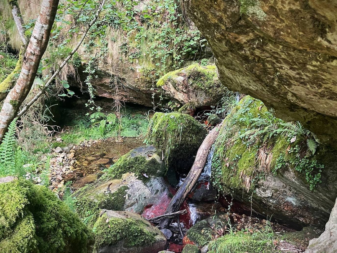 Los tramos con saltos de agua y pequeñas pozas de agua refrescan y ayudan en el ascenso al pueblo