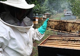 La producción ecológica asturiana duplica los ingresos de la PAC
