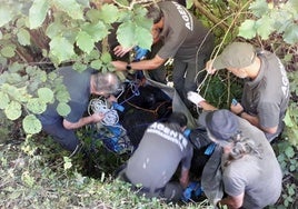 Efectivos de la Patrulla Oso de Asturias, durante el rescate del animal.