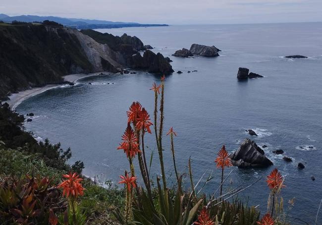 La ruta nocturna planteada para este viernes en Valdredo es sencilla, apta para toda la familia, y recorre un pequeño trecho del total de la ruta denominada «Entrecabos» que une el Faro Vidio y la playa del Silencio a través de 12 kilometros de senda costera