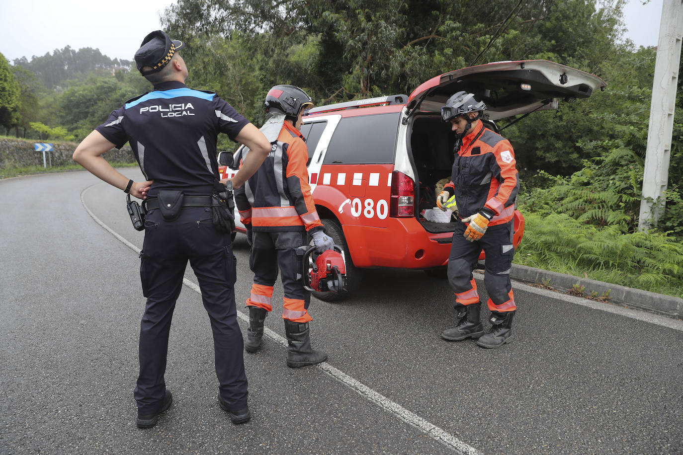 Las fuertes rachan de viento tiran un eucalipto en Gijón