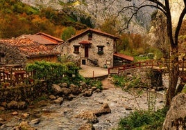 Bulnes.