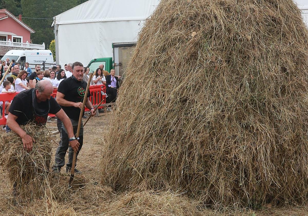 La vara de hierba fue uno de los atractivos de la fiesta.