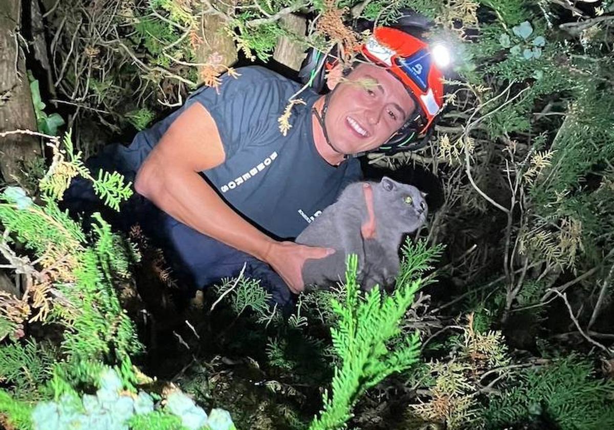 Los bomberos rescatan a 'Cactus', un gato que se había encaramado a lo alto de un árbol