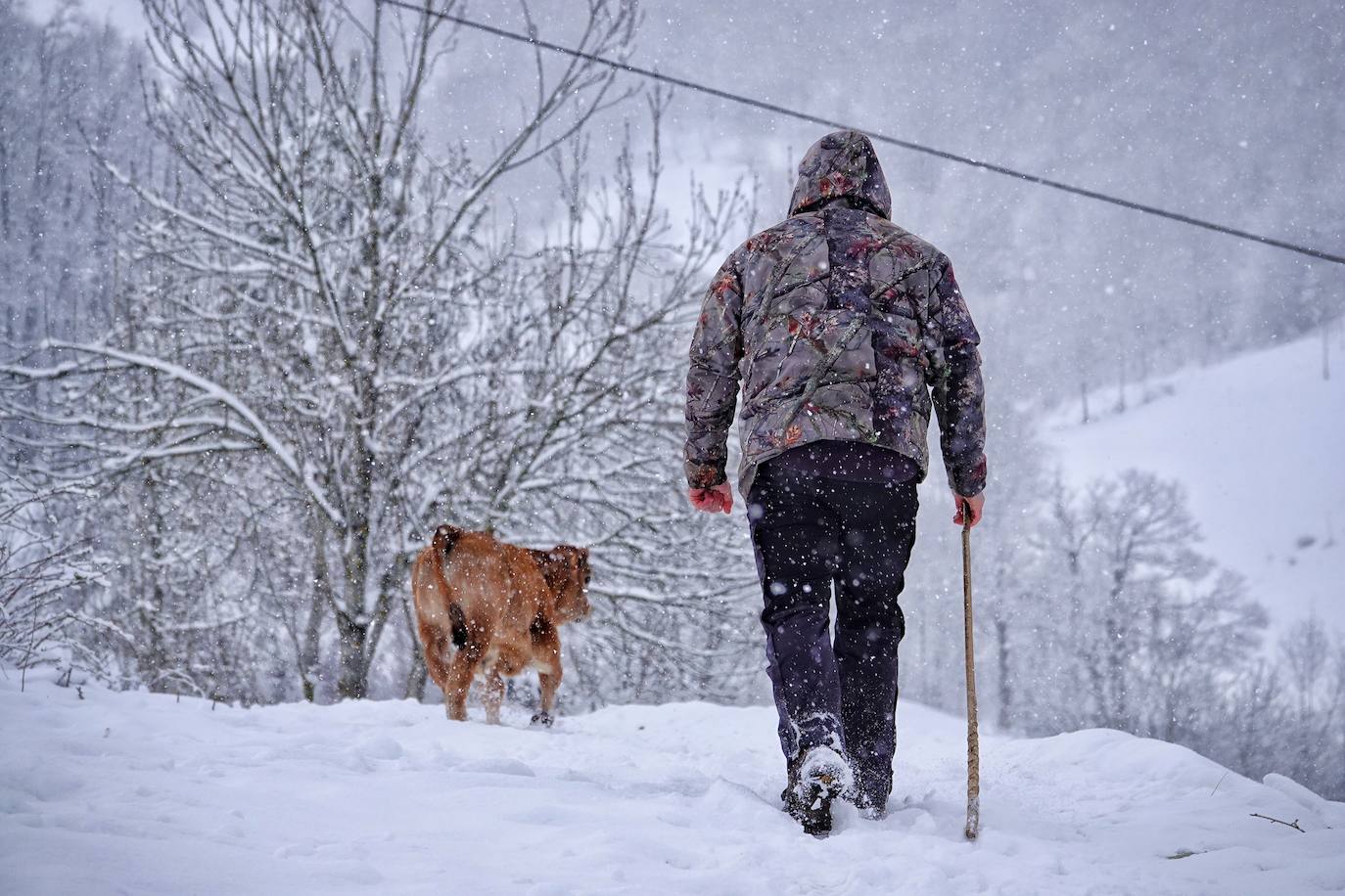 En el corazón de los Picos de Europa: Sotres, un pueblo de altura y de postal