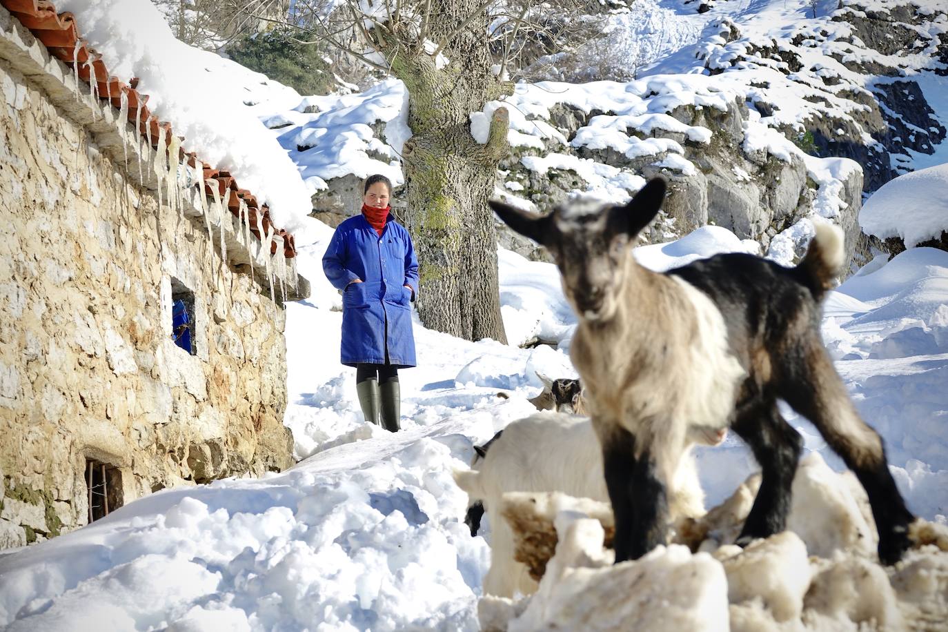 En el corazón de los Picos de Europa: Sotres, un pueblo de altura y de postal