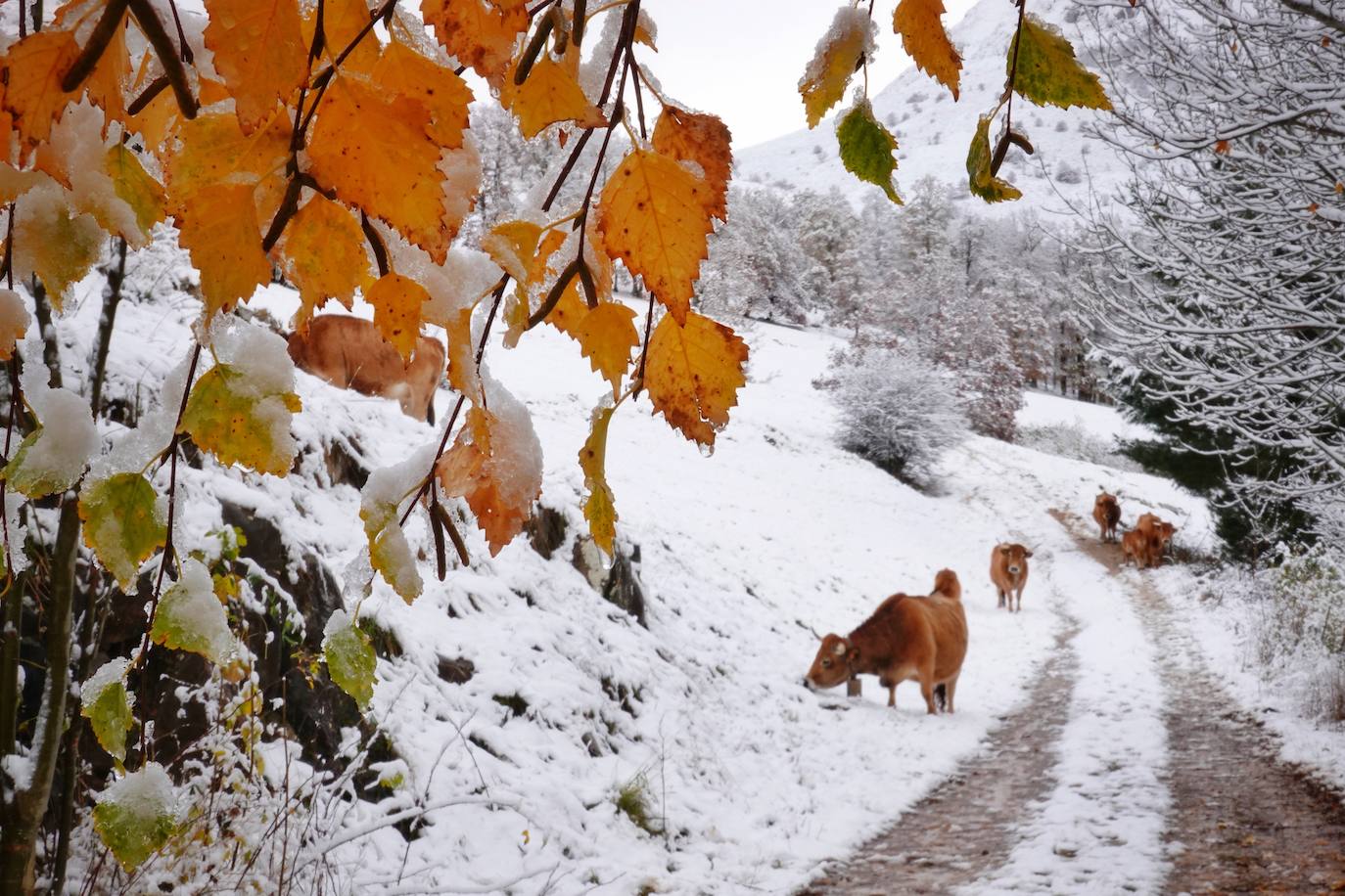 En el corazón de los Picos de Europa: Sotres, un pueblo de altura y de postal