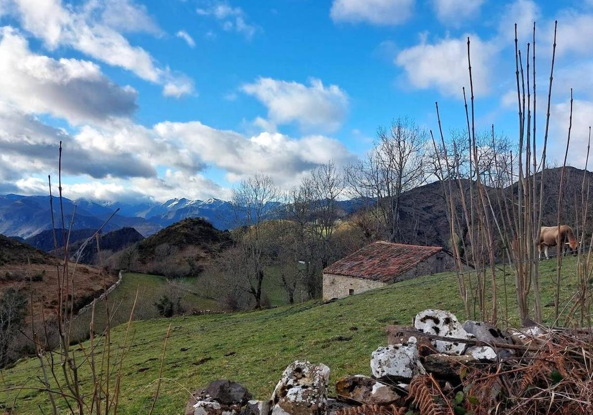 Imagen principal - Braña Espines, uno de los lugares por los que pasa la ruta a Peña Manteca/ vistas a los Picos de Europa desde el mágico bosque de Peloñu/ cascada de Xurbeo