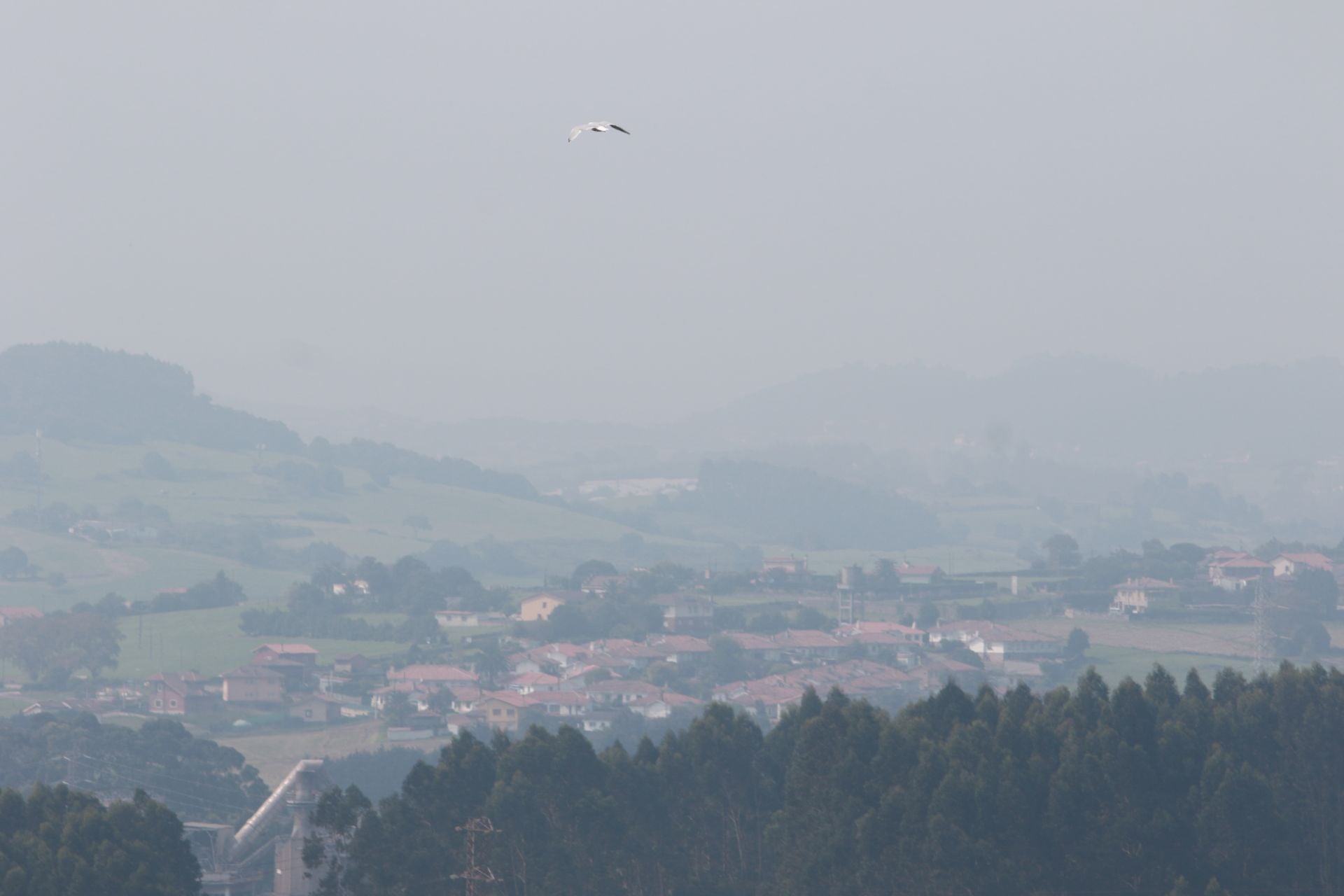 La niebla y la calima cubren la tarde en Asturias