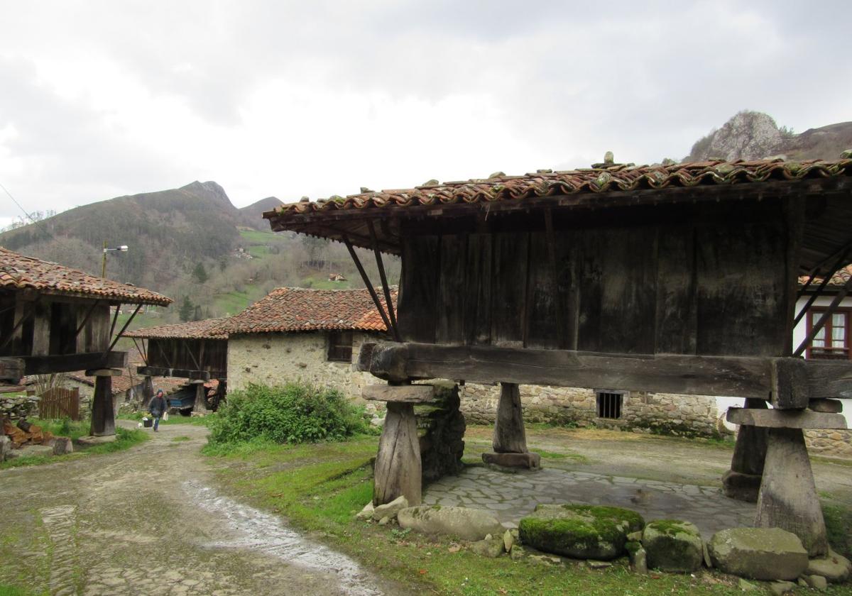 Hórreos en Espinaréu (Piloña), uno de los núcleos con más ejemplares.