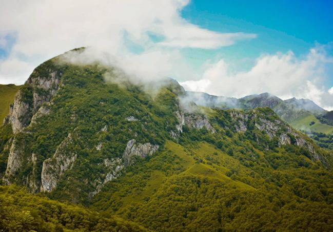 Sin tener que salvar enormes distancias, el equipo de Terix lleva hasta lugares de montaña perfectos para disfrutar el fascinante espectáculo de la berrea