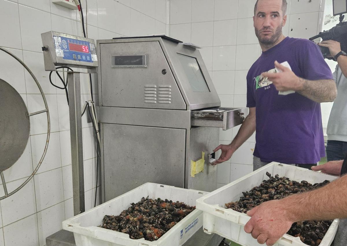 Imagen secundaria 1 - El primer kilo de percebe en Asturias, a 107 euros