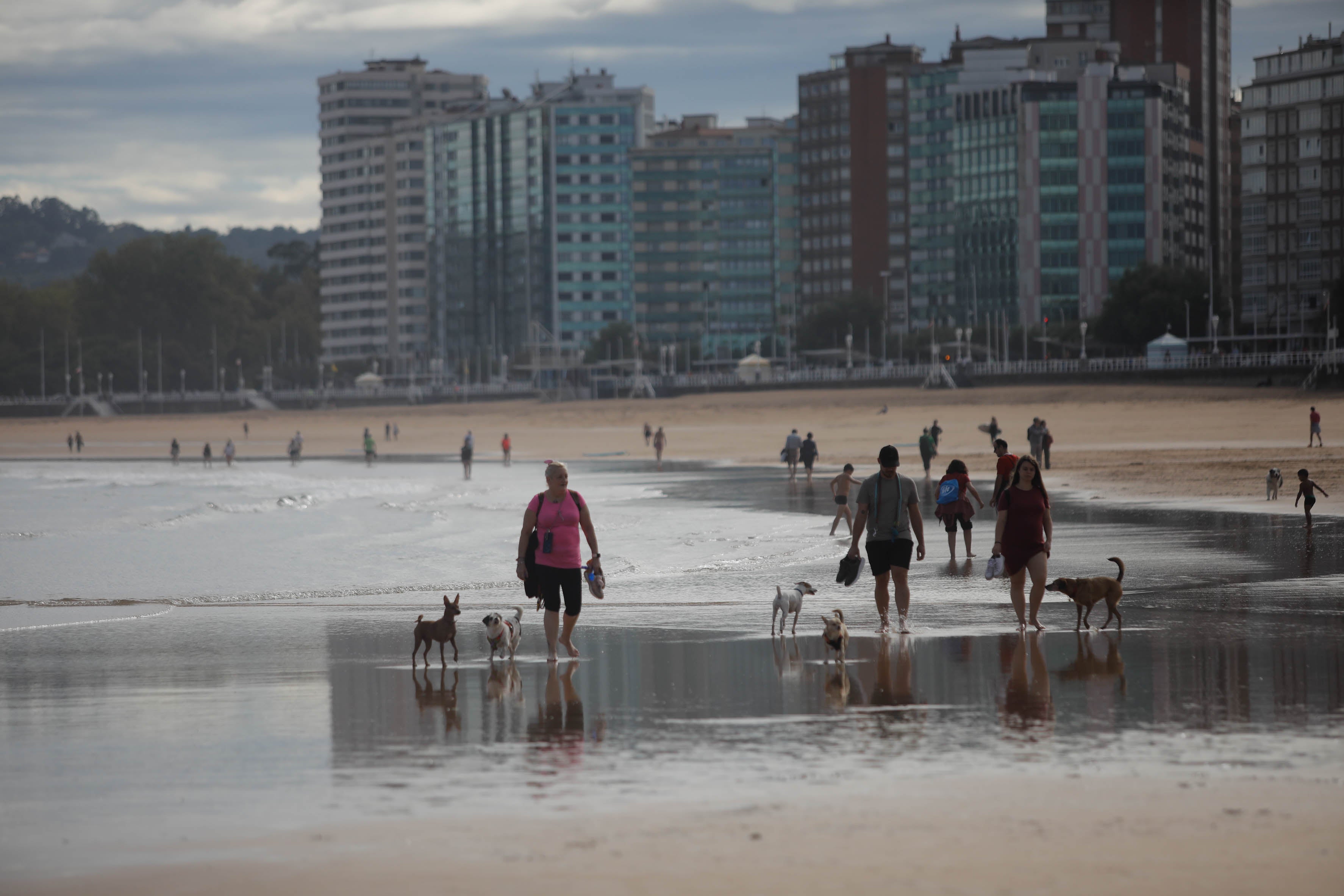 Diversión canina en San Lorenzo: los perros vuelven a playa