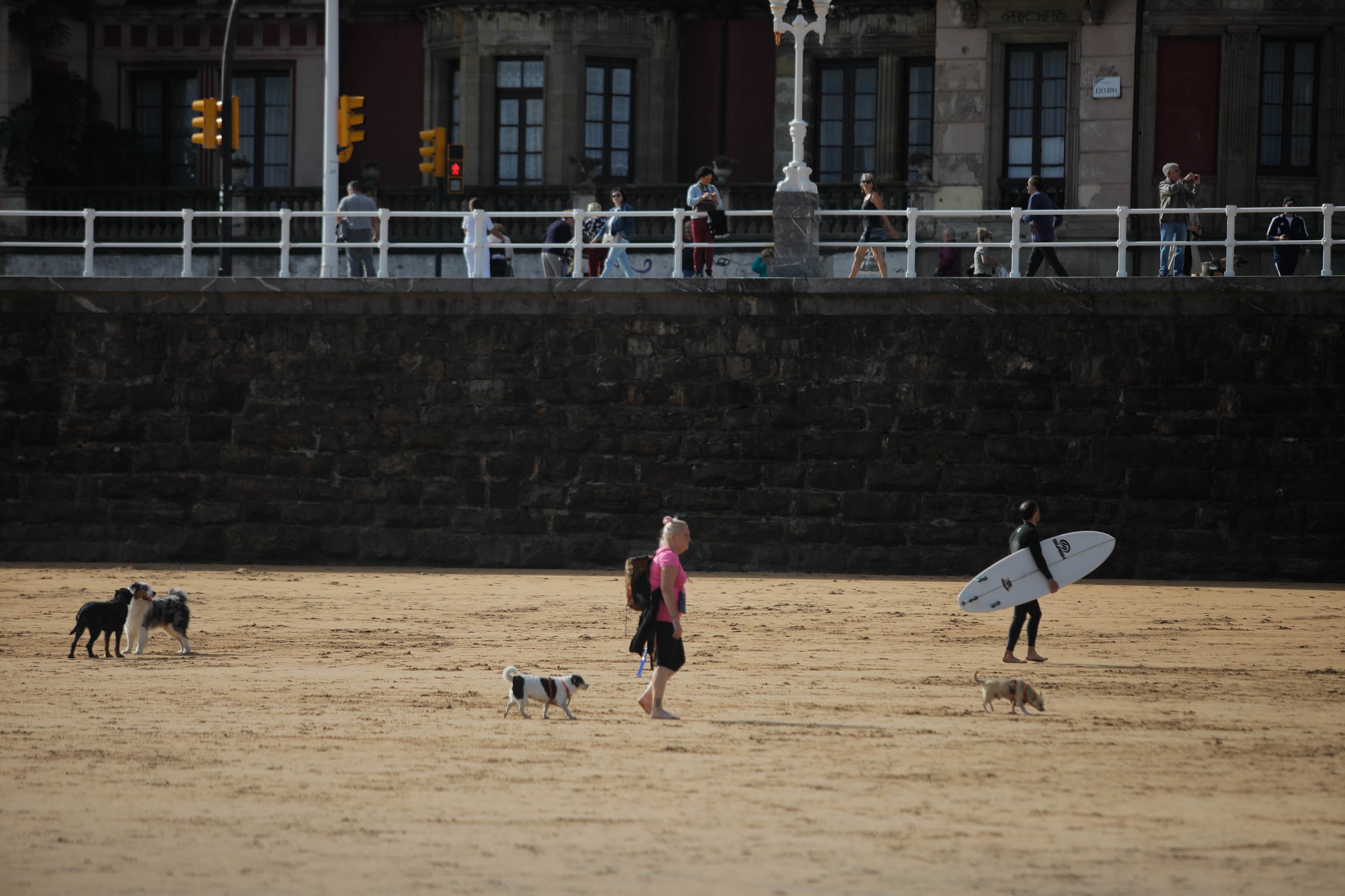 Diversión canina en San Lorenzo: los perros vuelven a playa