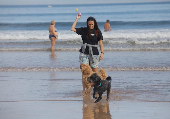 Diversión canina en San Lorenzo: los perros vuelven a playa.
