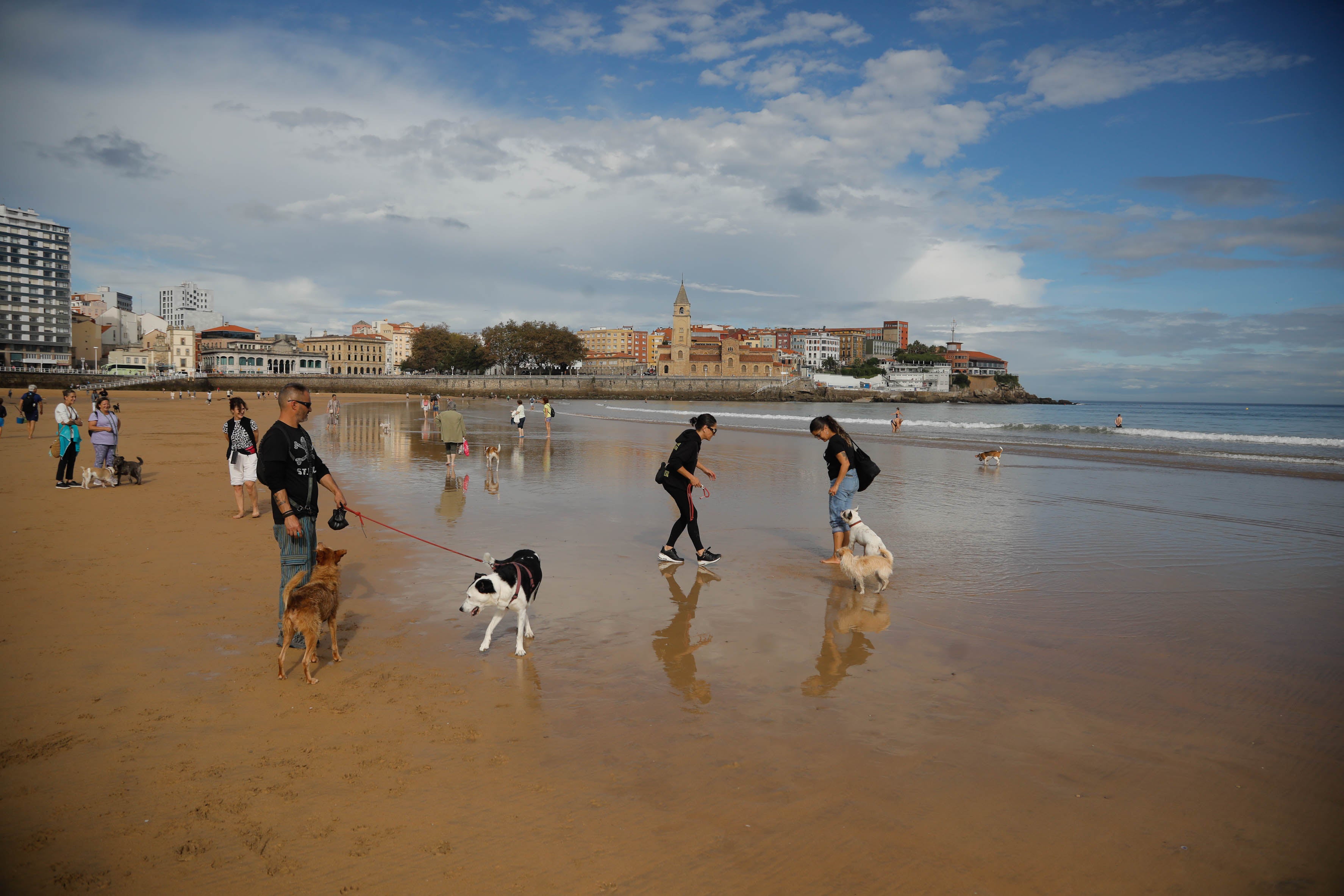 Diversión canina en San Lorenzo: los perros vuelven a playa