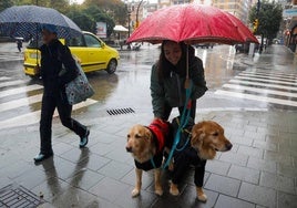 Una mujer pasea en Gijón a sus perros, este miércoles.