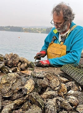 «La ostra del Eo se tiene que conocer más porque es de mucha calidad»