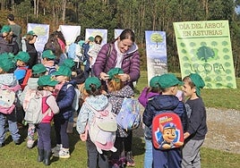Los niños plantando sus árboles con la ayuda de los docentes, en Piloña