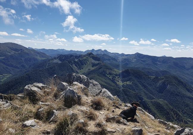 Los paisajes otoñales de Asturias son un escenario perfecto para disfrutar del senderismo, del yoga, de conocer refugios, de practicar vivac o, simplemente, sentarse a mirar las vistas y apañar unas castañas