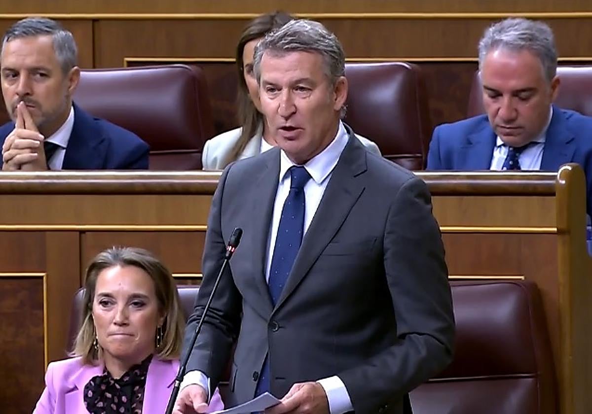 Alberto Núñez Feijóo, durante la sesión de control al Gobierno en el Congreso de los Diputados, sin gafas y con el pelo más claro de lo habitual.