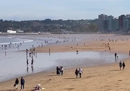 El 'perródromo' de San Lorenzo, a tope con el sol de otoño