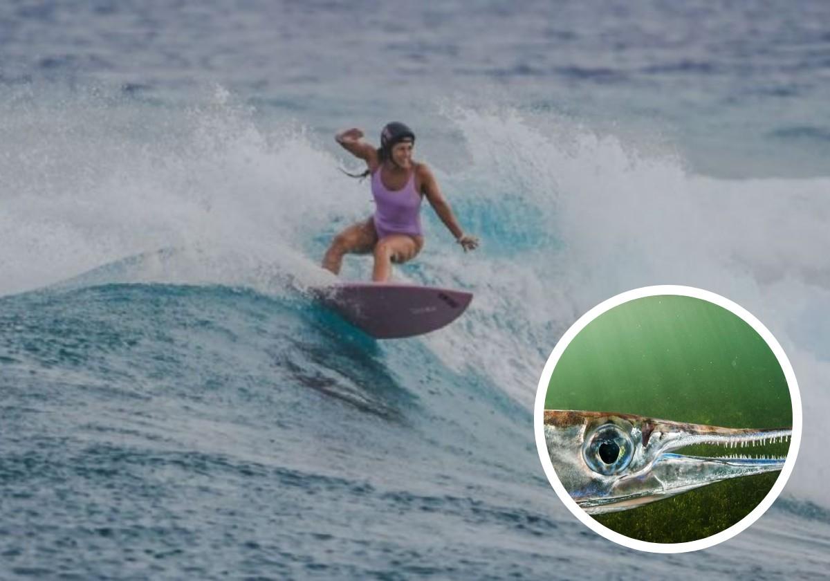 Así es el pez aguja, el peligroso animal que provocó la muerte de la surfista Giulia Manfrini