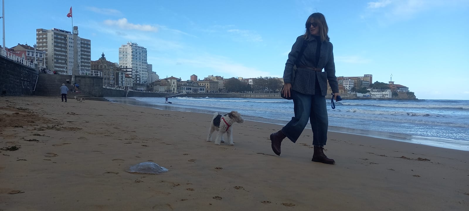 Las medusas reaparecen en Gijón