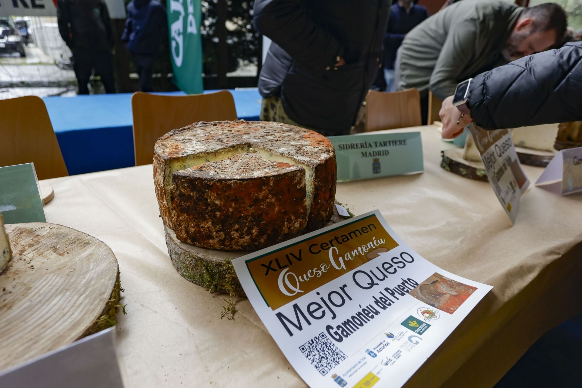 El manjar asturiano de Benia de Onís: el certamen del queso Gamonéu da sus ganadores