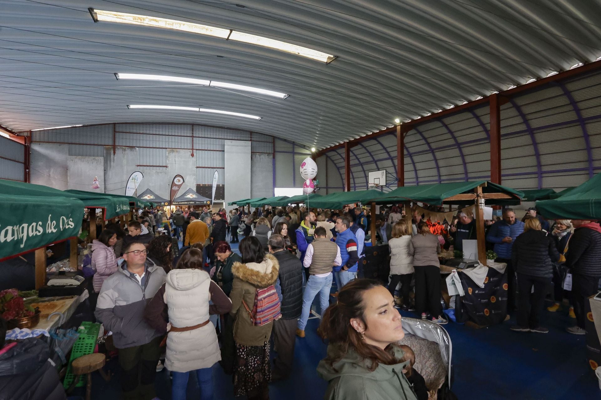 El manjar asturiano de Benia de Onís: el certamen del queso Gamonéu da sus ganadores