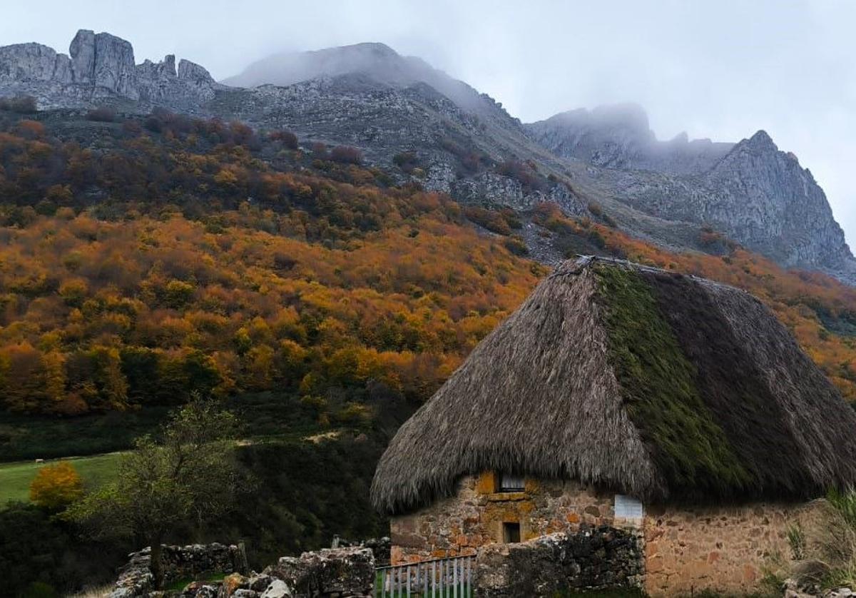 Con el espectacular otoño como telón de fondo y Somiedo como escenario, varios proyectos de la zona se unen para ofrecer una aamalgama de talleres variados y rutas sencillas, para todos los públicos, durante el próximo puente de Todos los Santos