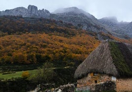 Con el espectacular otoño como telón de fondo y Somiedo como escenario, varios proyectos de la zona se unen para ofrecer una aamalgama de talleres variados y rutas sencillas, para todos los públicos, durante el próximo puente de Todos los Santos