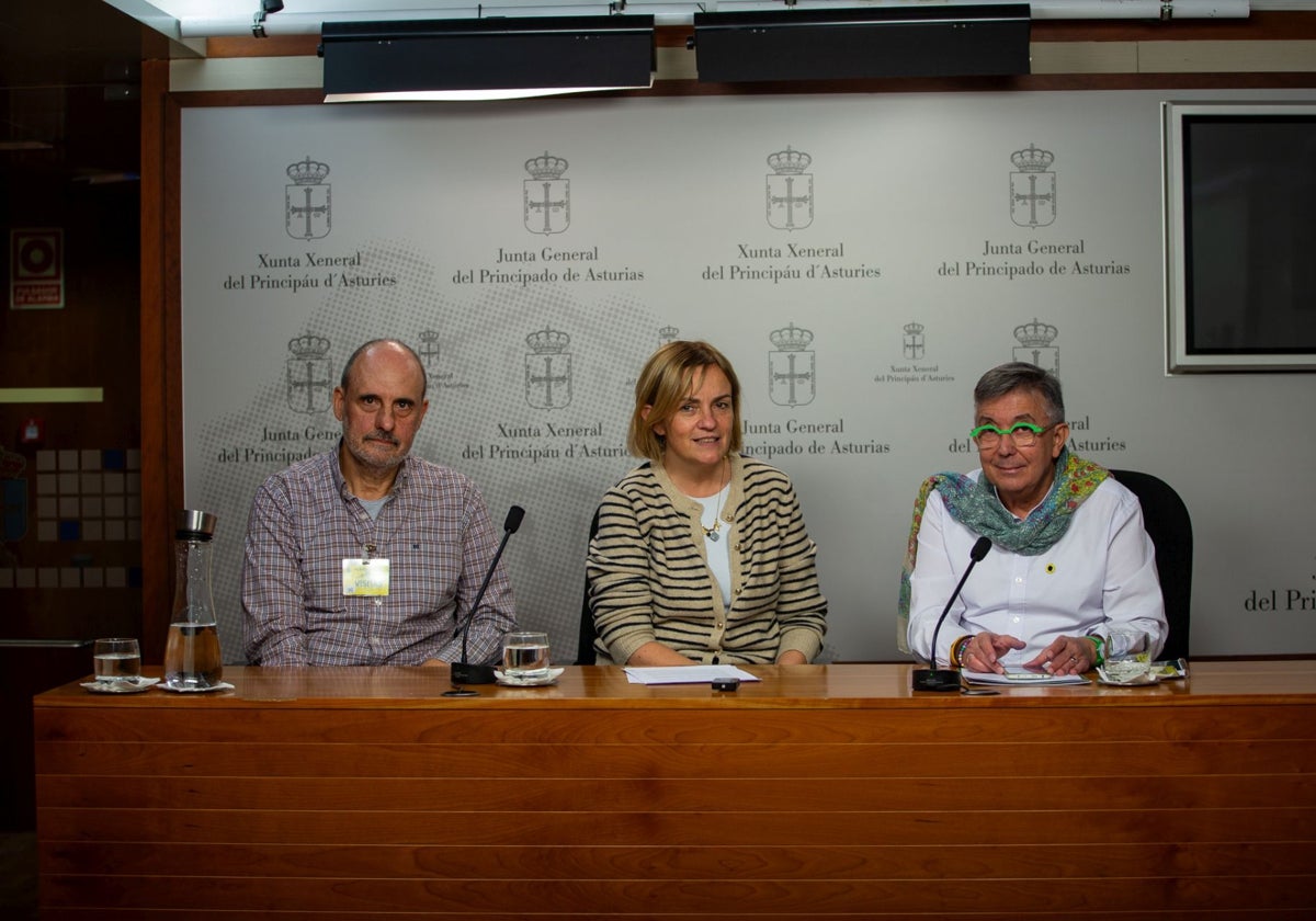 Rolando Rodríguez de Geotrupes, la diputada Covadonga Tomé y Xabel Andrade, de Los Verdes-Equo.