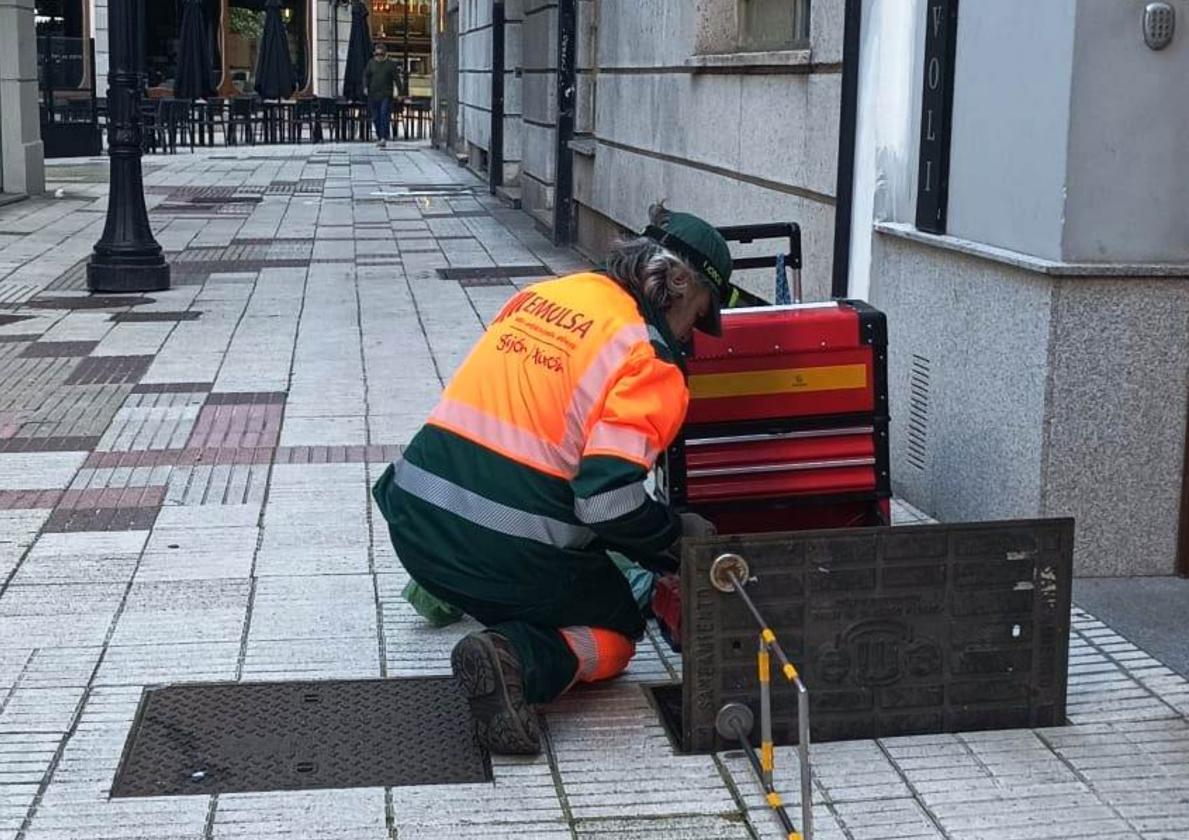 Personal de uno de los equipos de desratización que trabajan en Gijón.