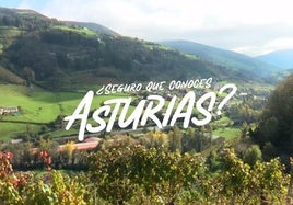 Parque Natural de las Fuentes del Narcea, Degaña e Ibias, un mundo por recorrer y disfrutar
