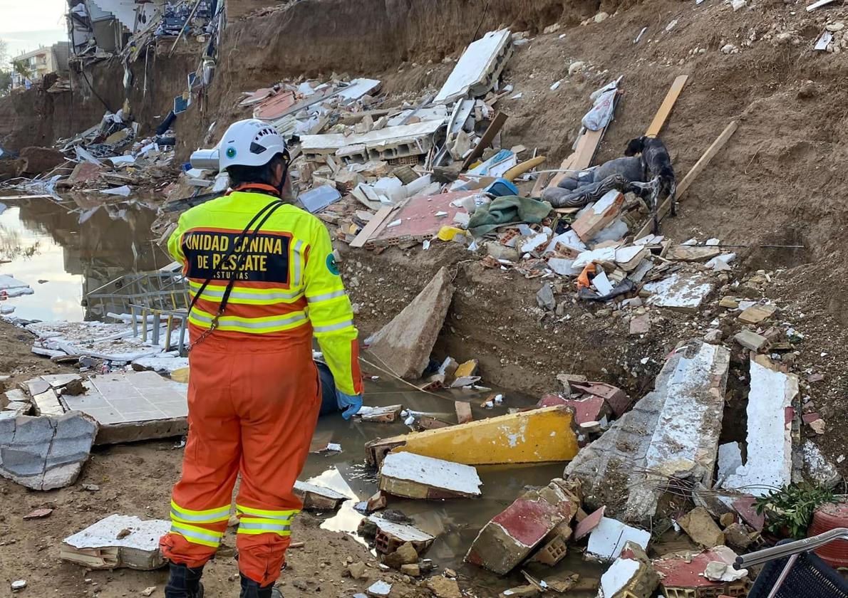 La Unidad Canina de Rescate del Principado sobre el terreno