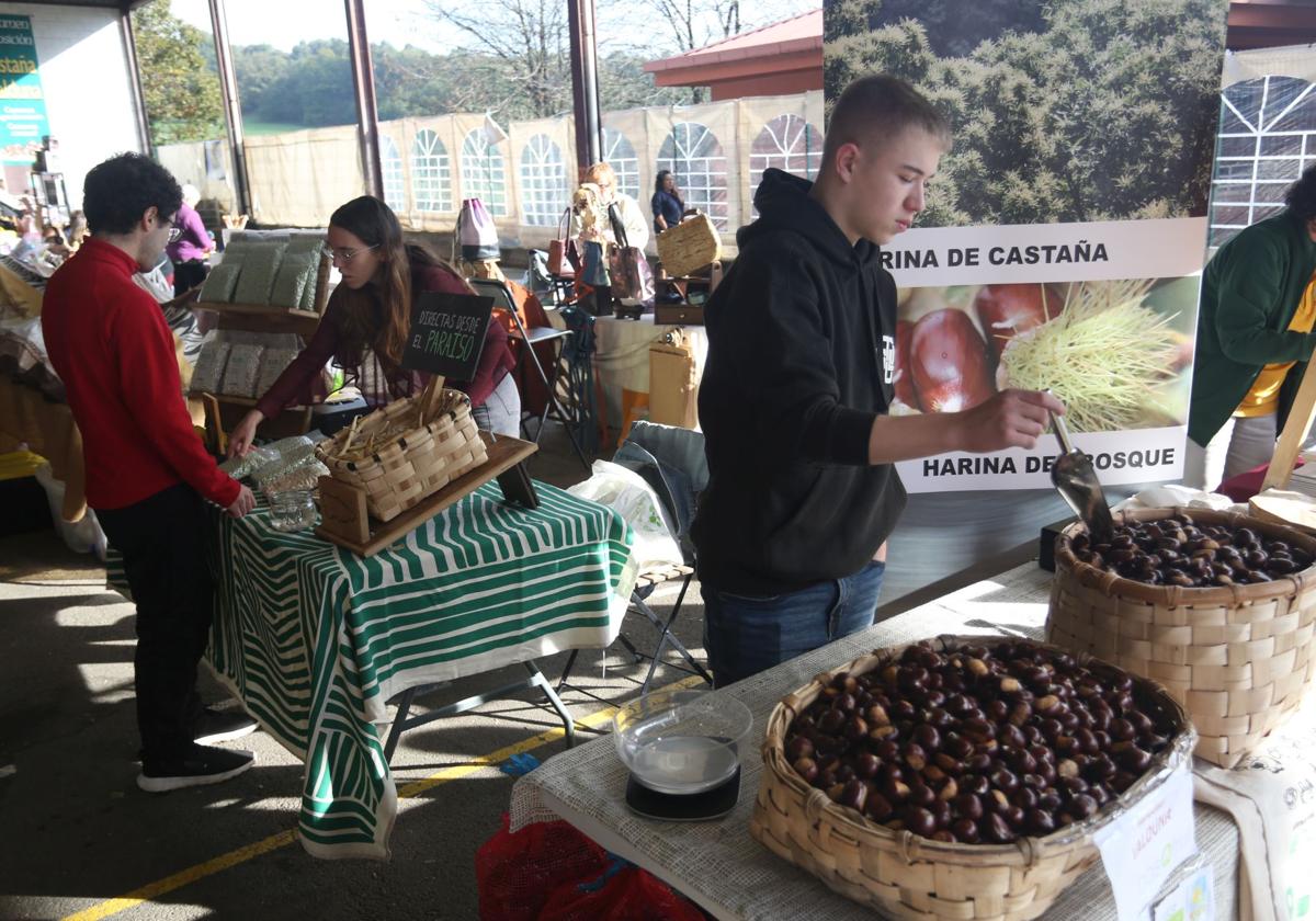 XXIV Certamen Exposición de la Castaña Valduna en Santullano