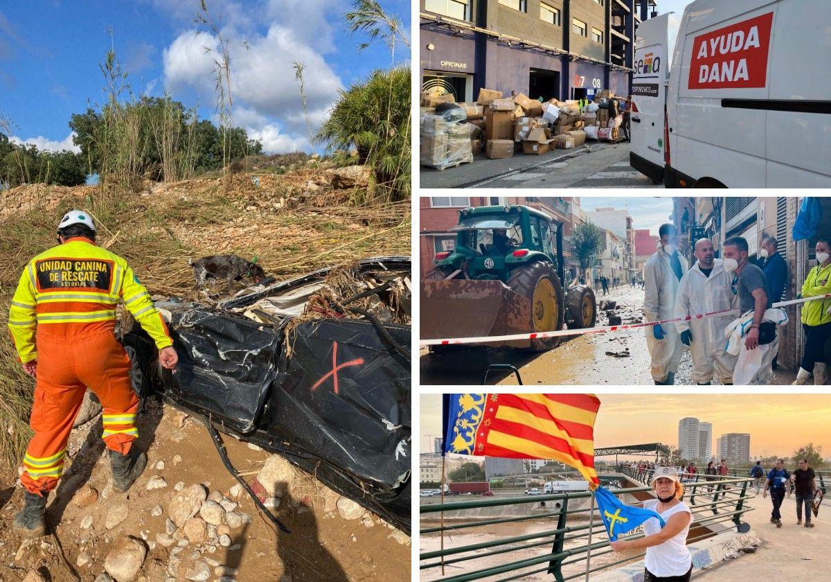 La solidaridad asturiana tras la DANA, en imágenes