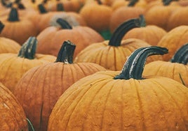Calabazas.